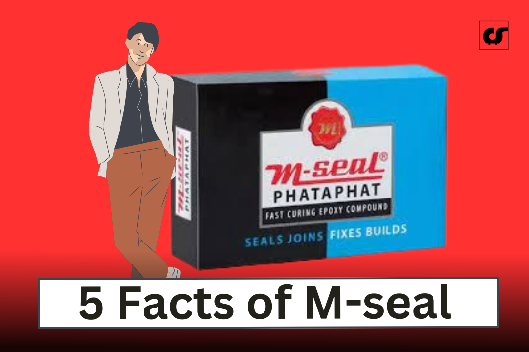 M-Seal के 5 अनोखे Facts – सिर्फ Leakage रोकने के लिए नहीं, ये किसी Superhero से कम नहीं!