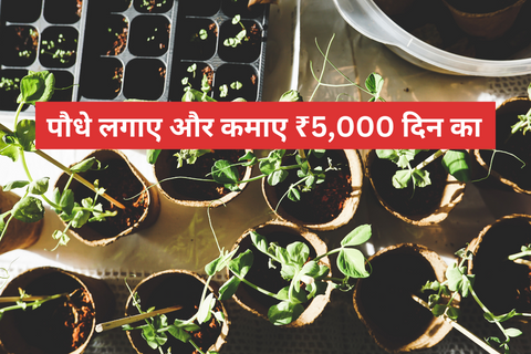 Home Gardening  Services Business: हरियाली से भरें घर, और कमाएं मुनाफा – एक आसान शुरुआत